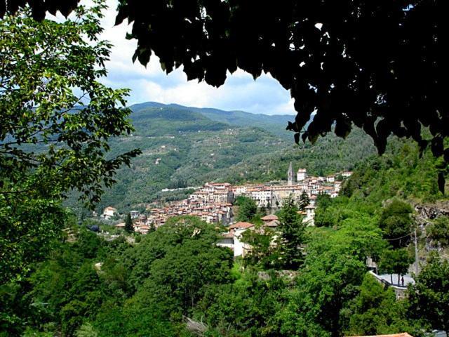 Grand Hotel Antiche Terme Di Pigna Luaran gambar